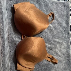 Cacique Rich Brown Women's Bra